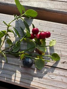 Лунный свет - 65