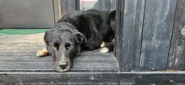 В центре старой Териберки - 42