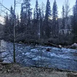 Пансионат У Карсаковых - 28