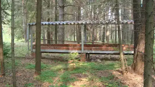 Ласточка - 3