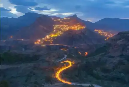 Пение птиц - 21