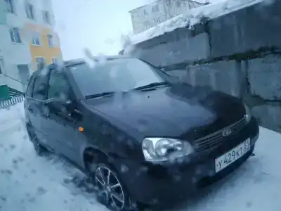 Чайка - 16