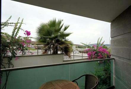 Royal Palm Residence - 28