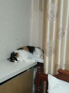 Гостиничный комплекс Алмаз - 48