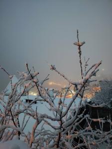 Крымский - 39