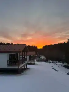 На паузе - 53