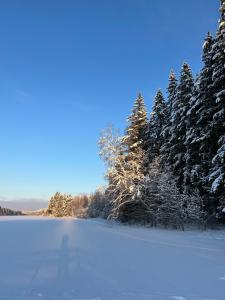 DachaLand - 24