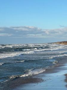 Золотые пески - 50