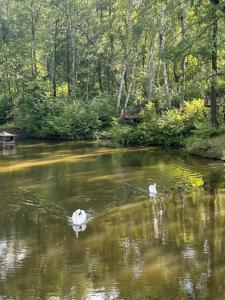 Капитанский Остров 57 - 79