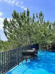 ЛаПальма - 33