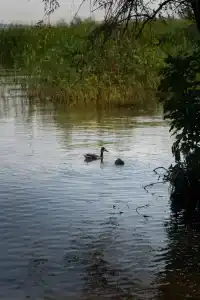 Юрта-парк на острове - 6