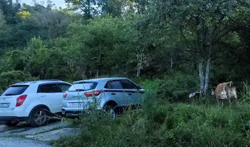 Горный воздух - 6