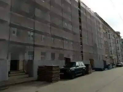 Абрикосовое дерево на Петроградской стороне - 5