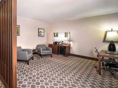 Mercure Istanbul West & Convention Center - 32