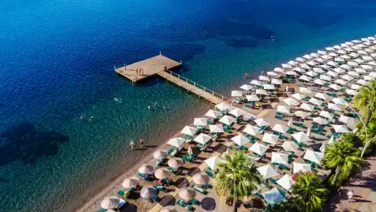 Orka Lotus Beach - 1