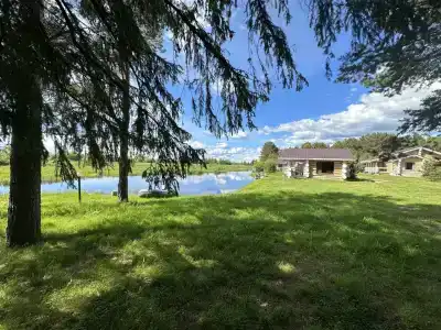 Челмужская усадьба - 59