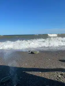 на море хочу - 40