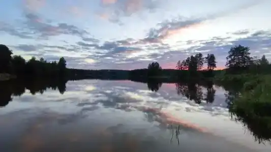 Стеклянный берег - 41