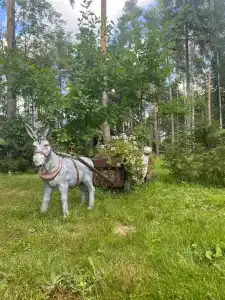 Зелёный остров - 29