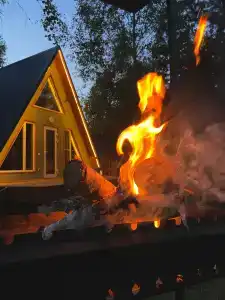 Хвойный парк - 2