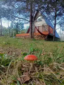 Хвойный парк - 9