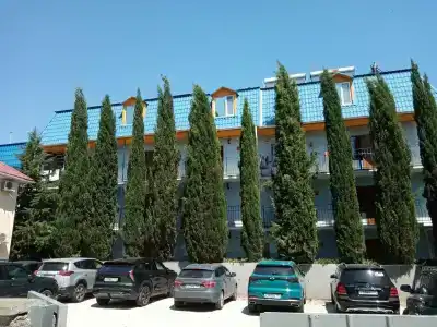 Кипарис-канака - 16