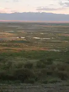 Altay Steppe - 19