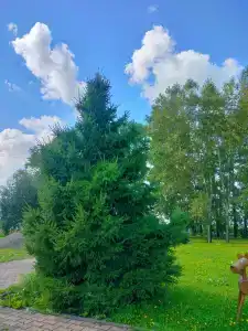 Железнодорожник - 24