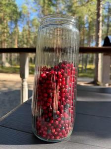 Северное сияние - 71