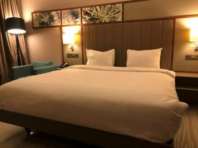 Hilton Garden Inn Istanbul Atatürk Airport - 97