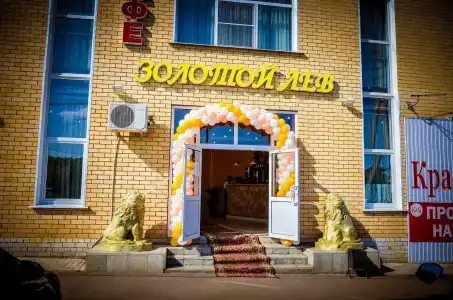 Золотой лев - 6