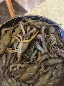 Веселый Роджер - 74