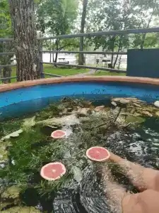 Заимка Узалы - 80