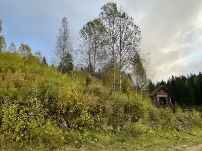 Родники - 34