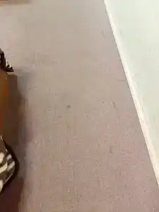 Баринова Роща - 51