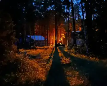 Залив - 29
