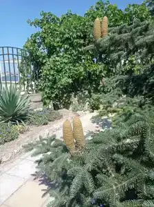 Пансионат Дельта - 60