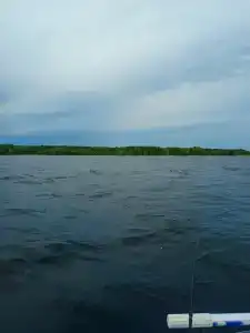 Ковжа - 38