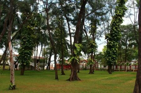 Vgp Golden Beach Resort - 70