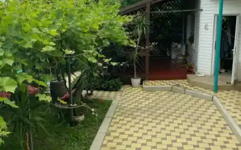 Лето всем - 14