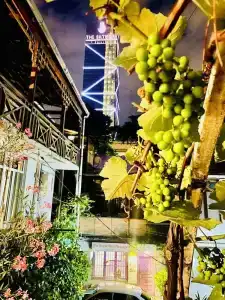 Bon Voyage - 3