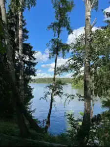 Чайка - 34