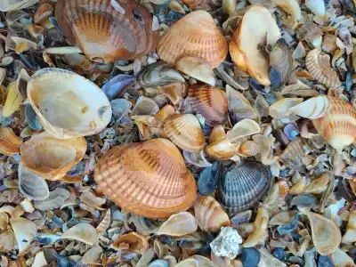 Апарт-отель Халачи - 12