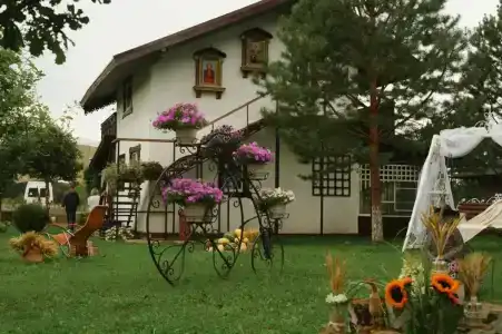 Елизарово - 43