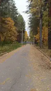 Спутник - 20