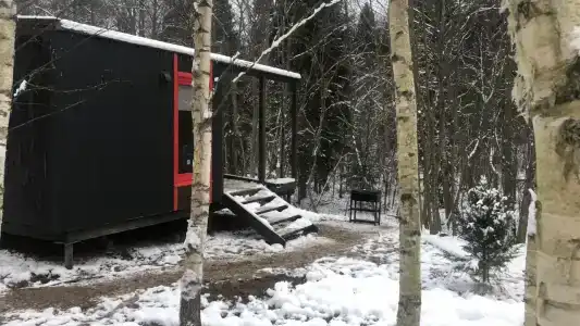 Икс-Лес - 30