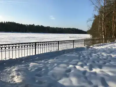 Мечта - 8