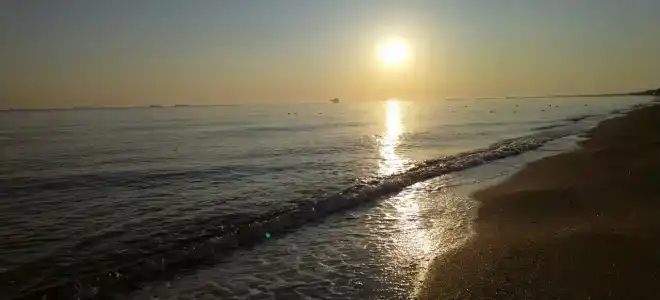 Жемчужина - 61