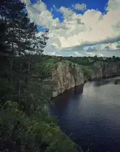 Сосновый бор - 86