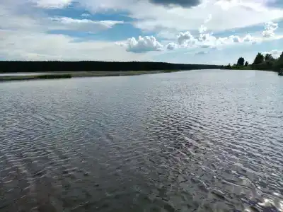 Чистая заводь - 34
